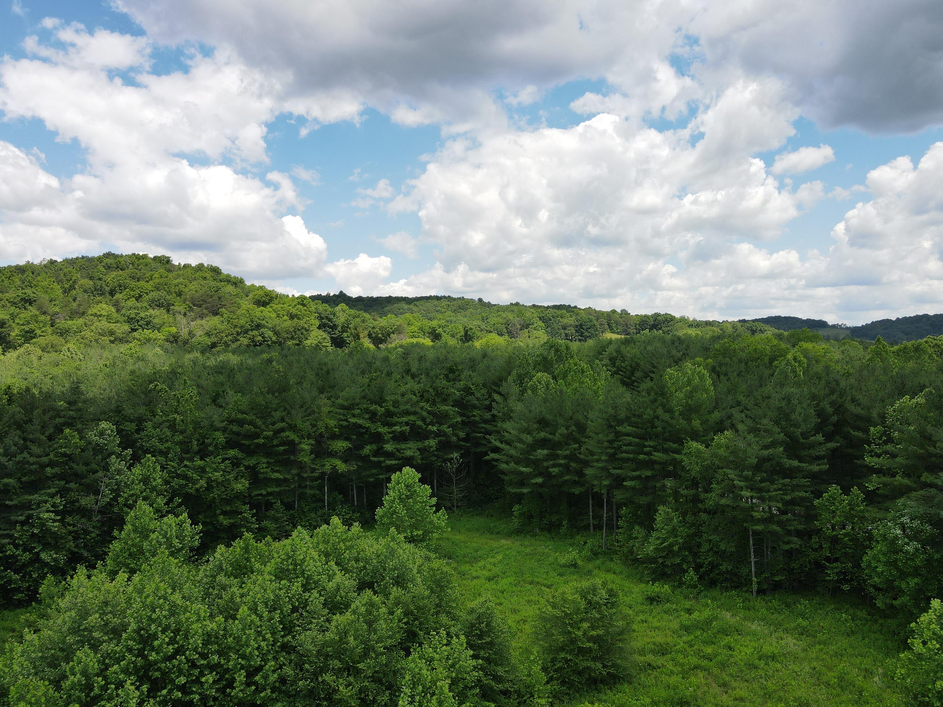 0 Log Home Road Laurelville, OH 43135 - Photo 3 of 20