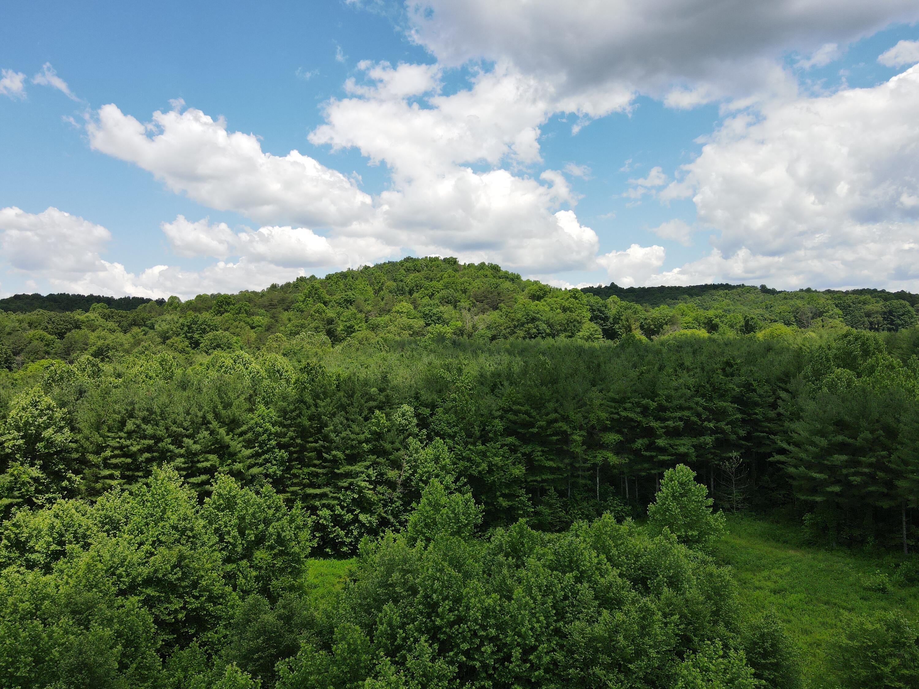 0 Log Home Road Laurelville, OH 43135 - Photo 4 of 20