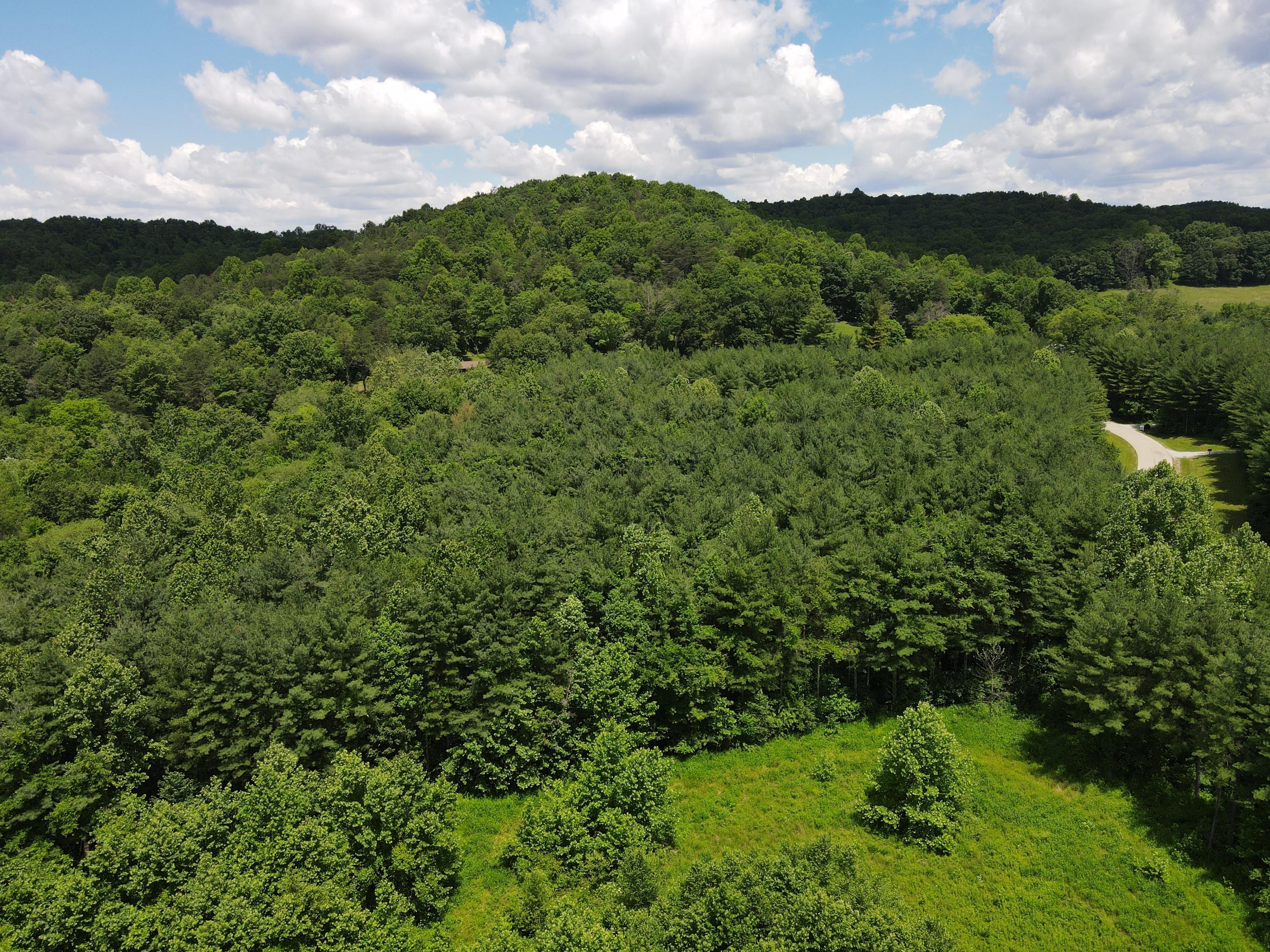 0 Log Home Road Laurelville, OH 43135 - Photo 7 of 20