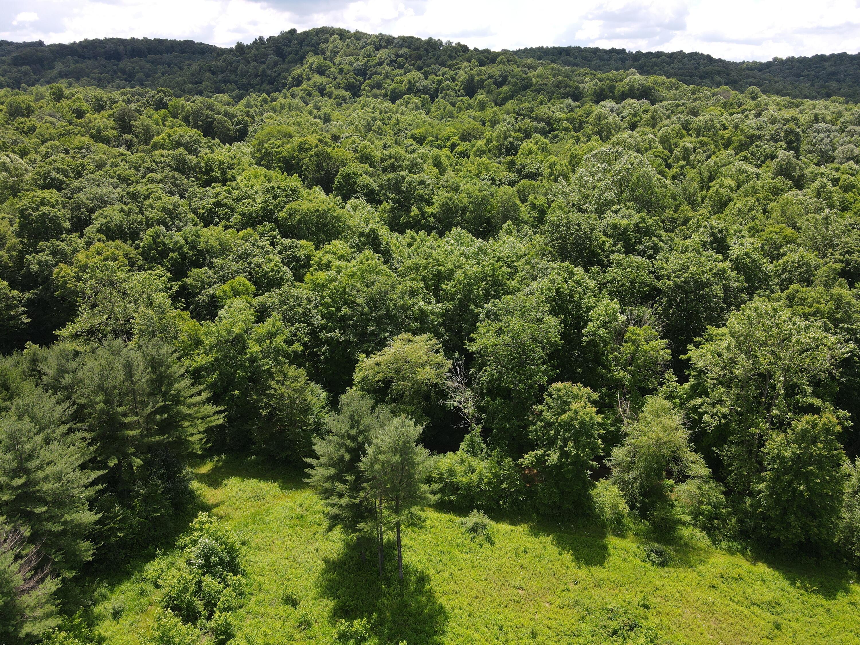 0 Log Home Road Laurelville, OH 43135 - Photo 10 of 20