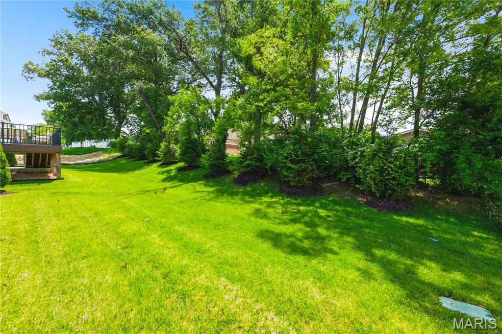 527 Ryehill Drive St. Peters, MO 63376 - Photo 11 of 42
