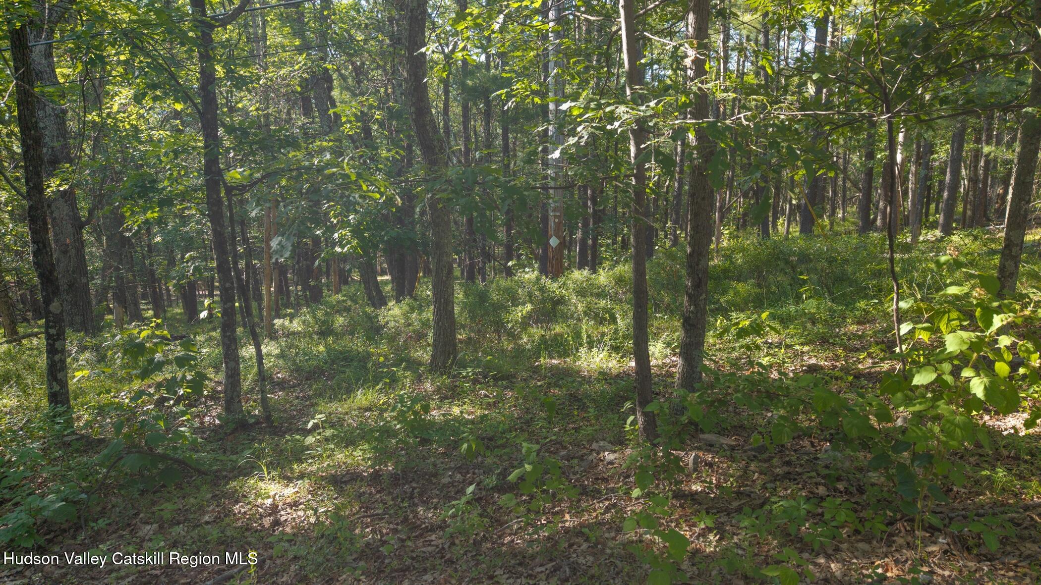 Tbd-1 Mt Airy Road Saugerties, NY 12477 - Photo 4 of 12 Land 1