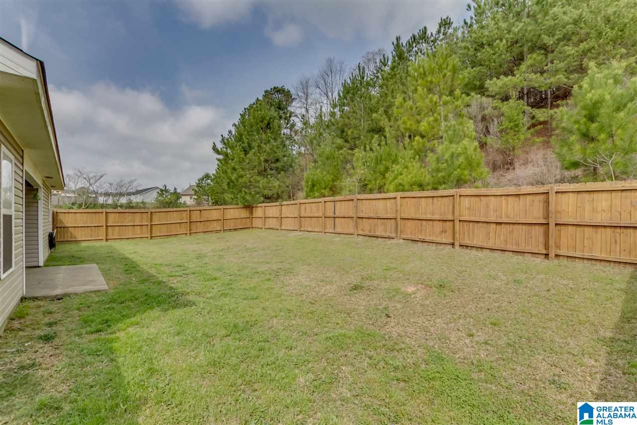16016 Stone Ridge Parkway Brookwood, AL 35444 - Photo 19 of 23