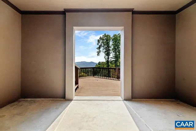 a view of a tree in a yard