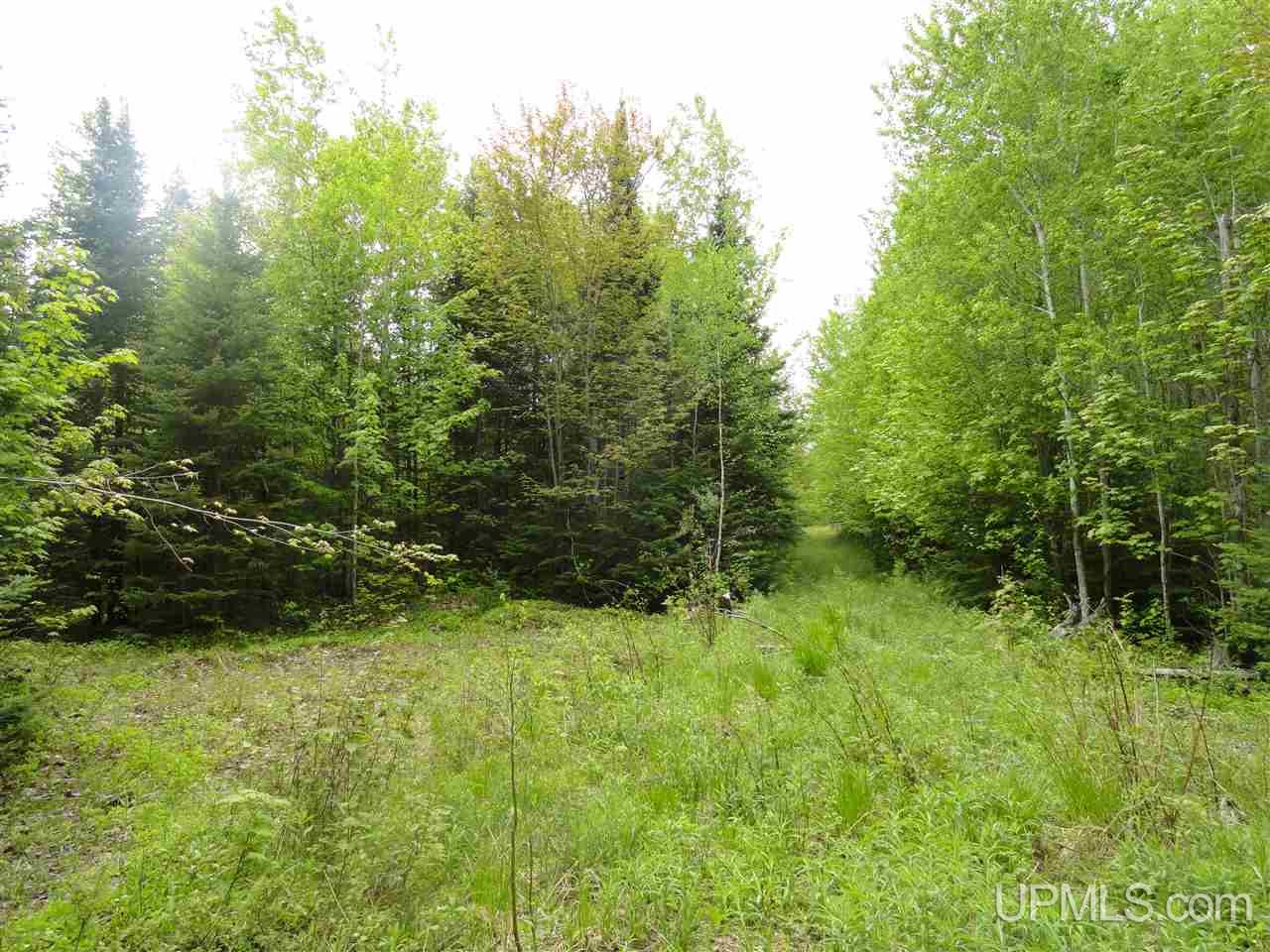2 Rd Rock Mi 49880 Road Rock, MI 49880 - Photo 9 of 39