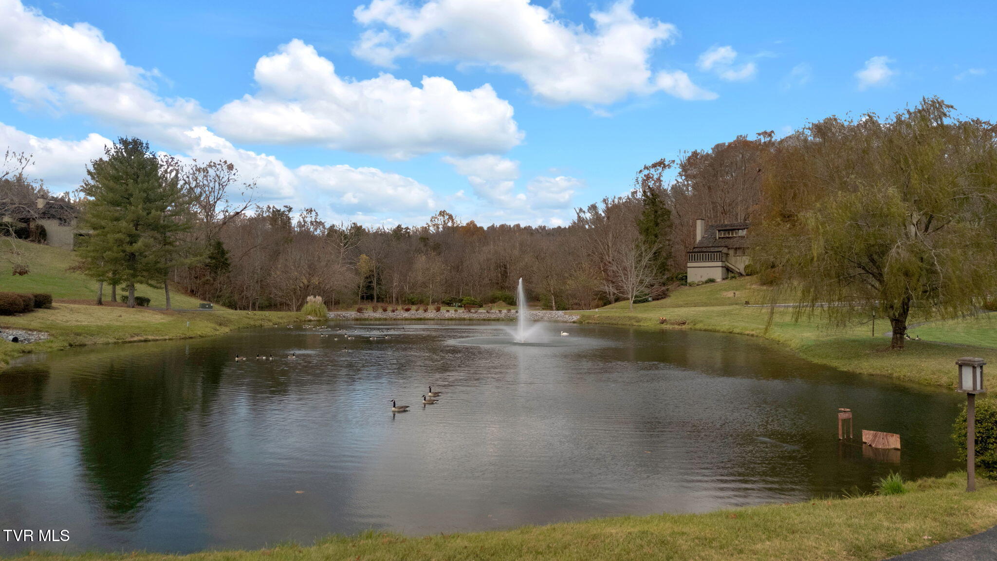 136 Columbine Road Kingsport, TN 37660 - Photo 44 of 44 12-web-or-mls-DJI_20241121152655_0307_D