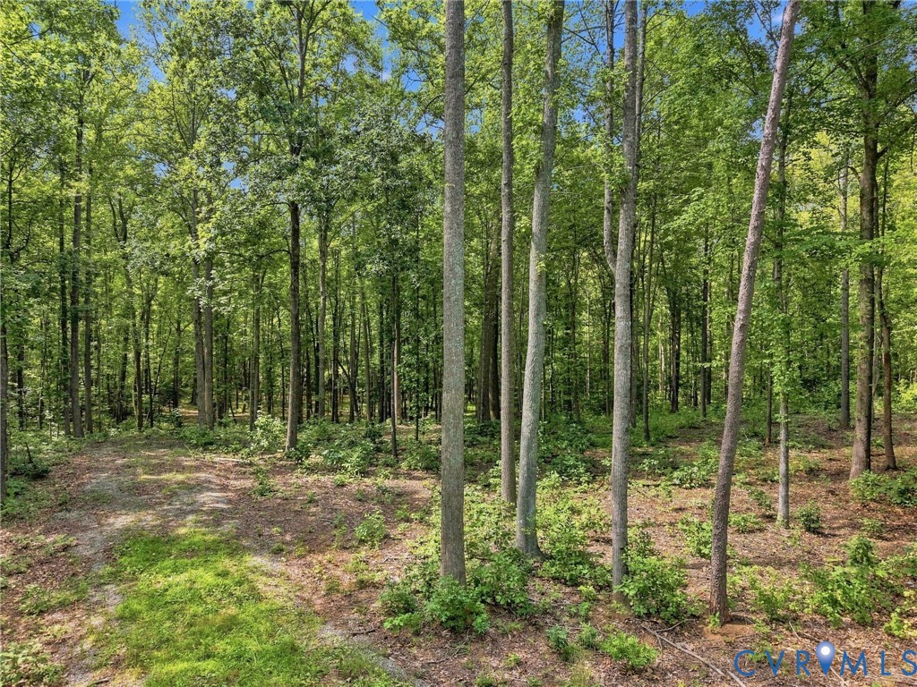 15295 Beaver Dam Road Montpelier, VA 23192 - Photo 19 of 23 Gallery Image 19