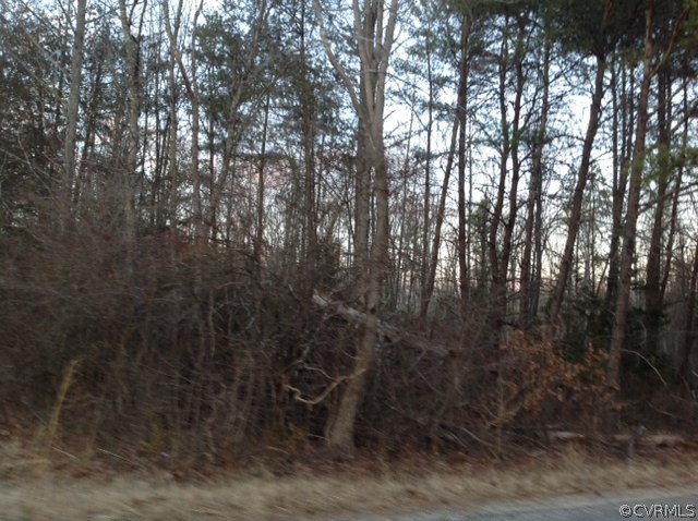 293 Deep Run Road Cartersville, VA 23027 - Photo 2 of 5 Gallery Image 2