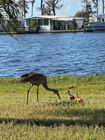 $287,500 | 1401 West Highway 50, Unit 179, Clermont, FL 34711