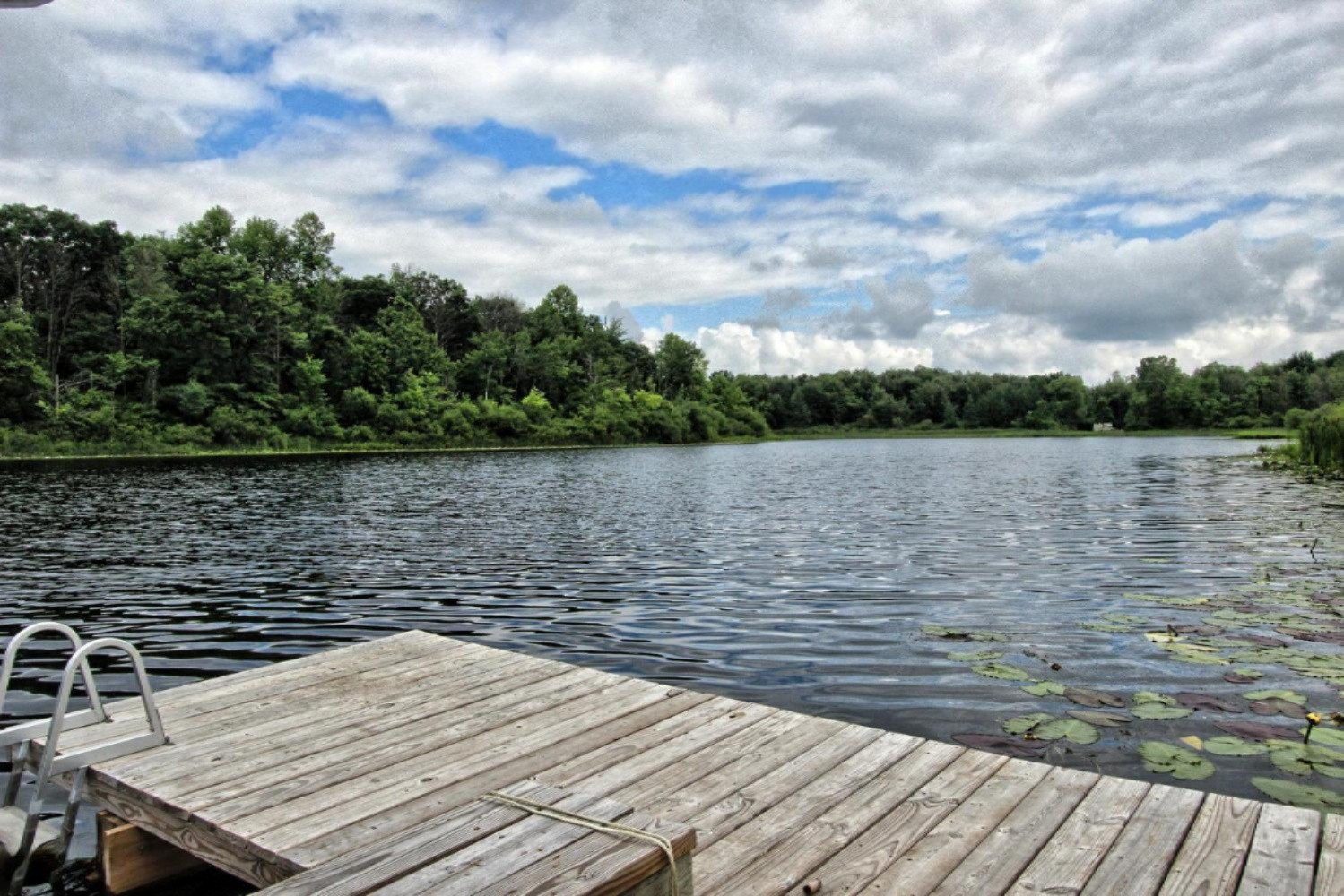 Dock
