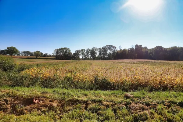 $240,000 | 0 Crooked Street, Mount Vernon, OH 43050
