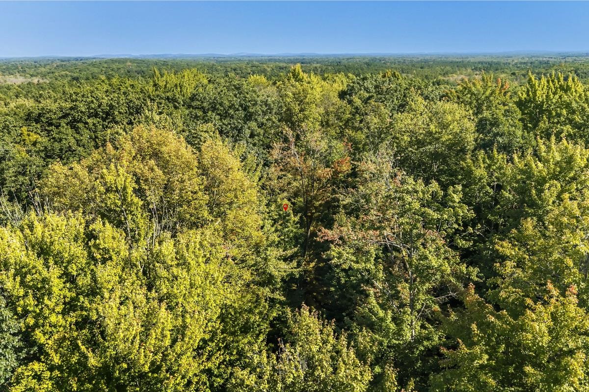 West Hill Road Iola, WI 54945 - Photo 20 of 22 Gallery Image 20