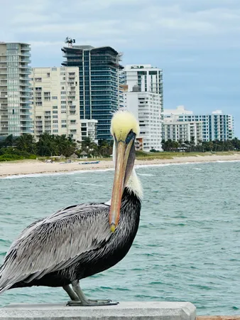 $423,900 | 750 North Ocean Boulevard, Unit 604, Pompano Beach, FL 33062