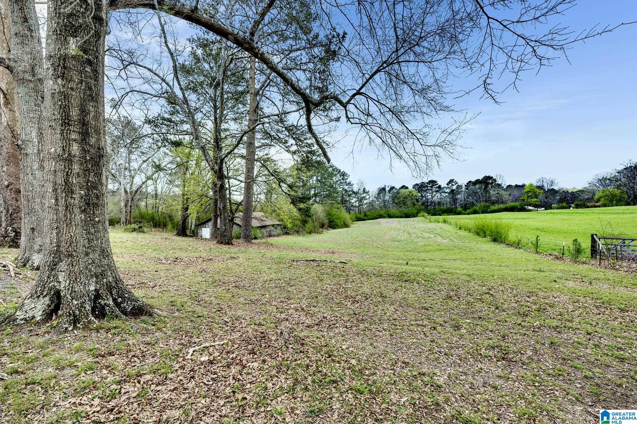 1820 Mayfield Road Warrior, AL 35180 - Photo 6 of 25
