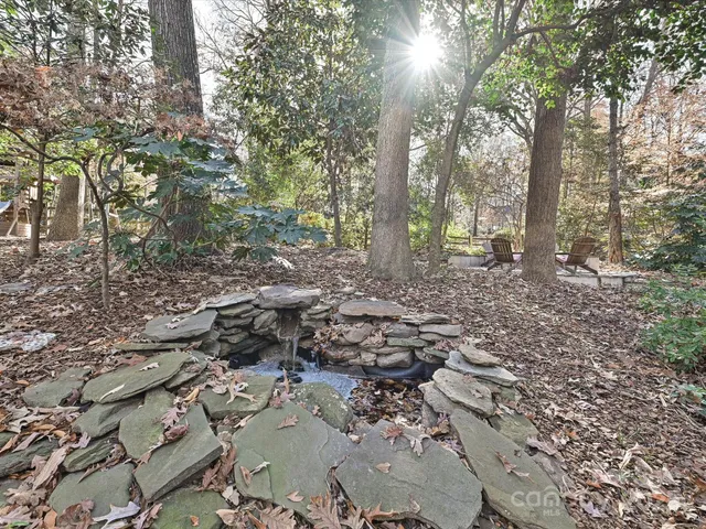 a view of a forest filled with trees