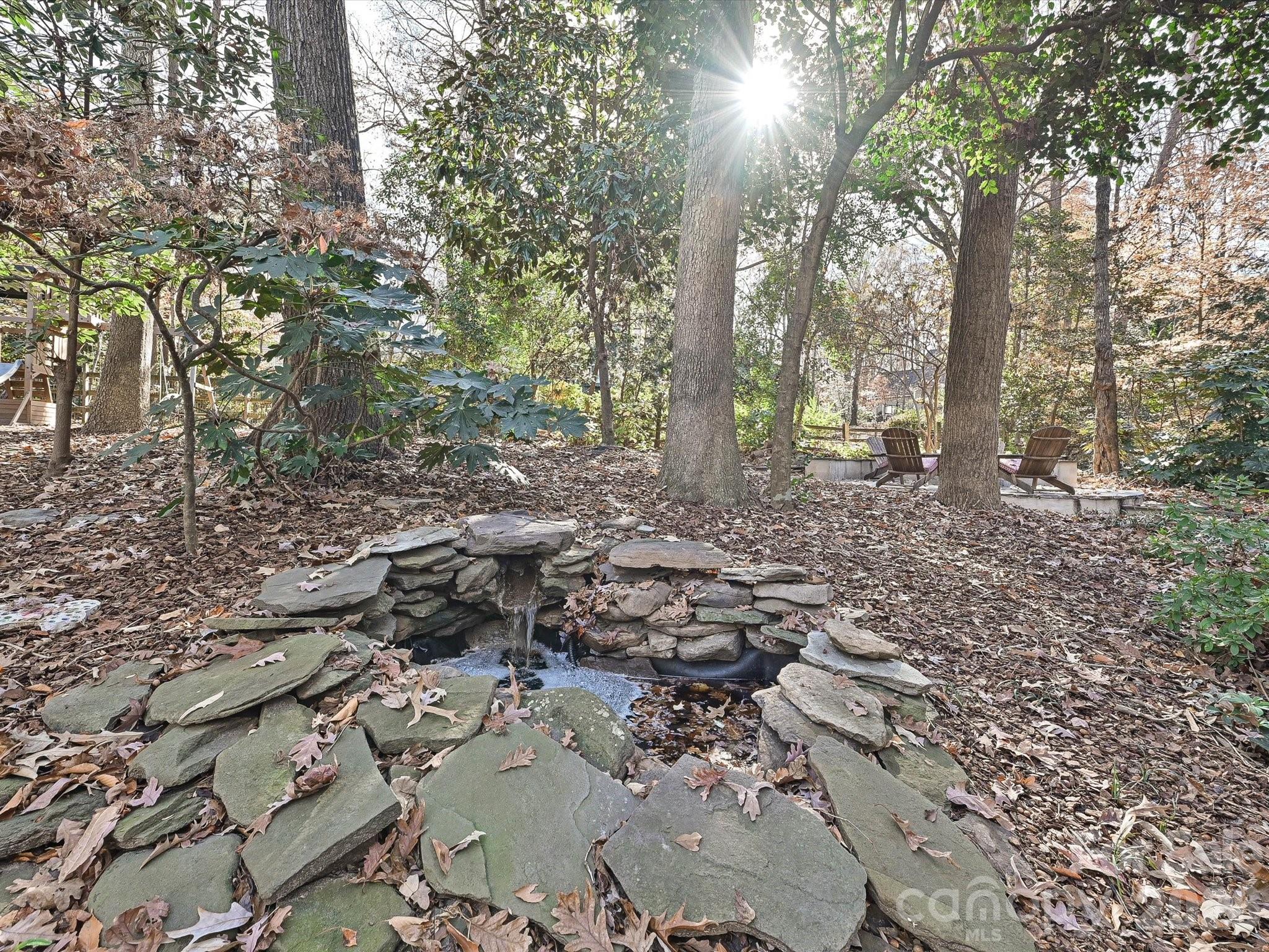 4540 Forest Cove Road Belmont, NC 28012 - Photo 38 of 46 a view of a forest filled with trees