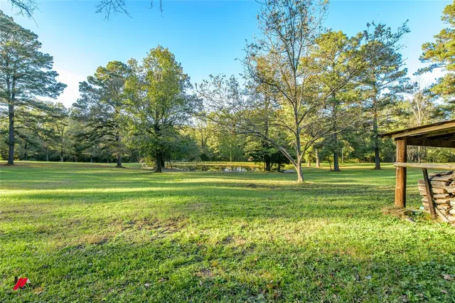 a view of a park with large trees