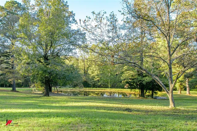 a view of a park with large trees