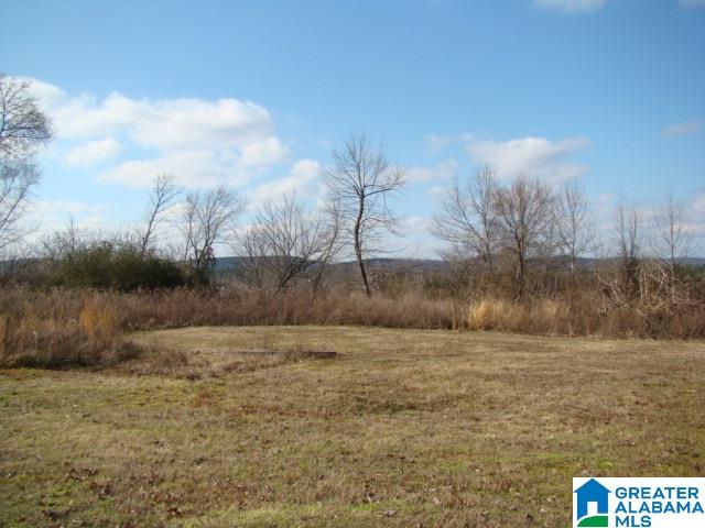336 Verbon George Road Wellington, AL 36279 - Photo 24 of 25