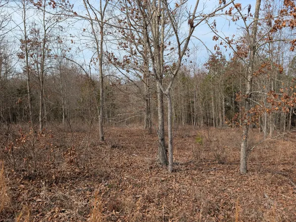 $39,900 | Lot 52 Taylor Way/fooshee Pass, Ten Mile, TN 37880