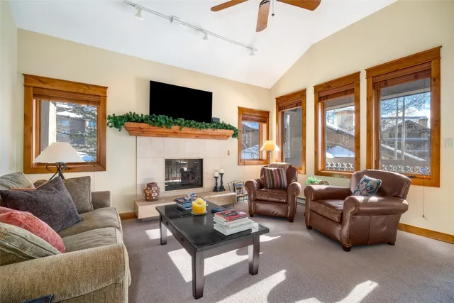 a living room with furniture a flat screen tv and a fireplace