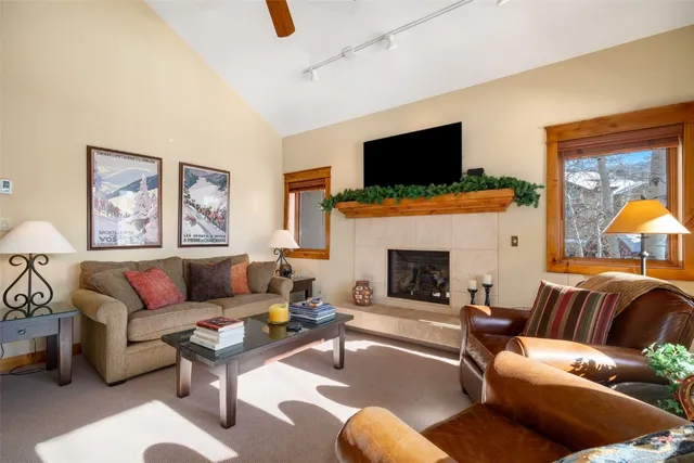 a living room with furniture a flat screen tv and a fireplace