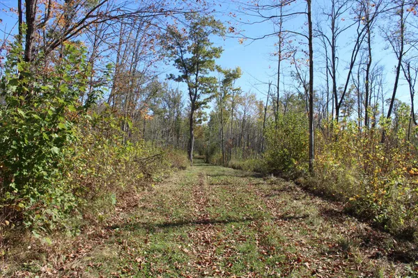 $759,500 | Tbd Woods Road, Isle, MN 56342