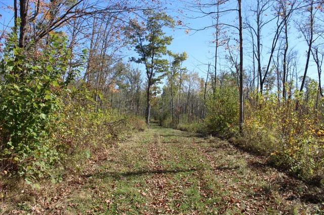 $759,500 | Tbd Woods Road, Isle, MN 56342