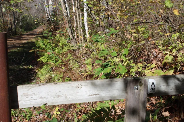 $759,500 | Tbd Woods Road, Isle, MN 56342