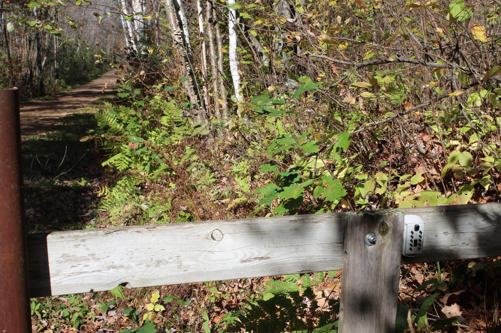 Tbd Woods Road Isle, MN 56342 - Photo 14 of 32