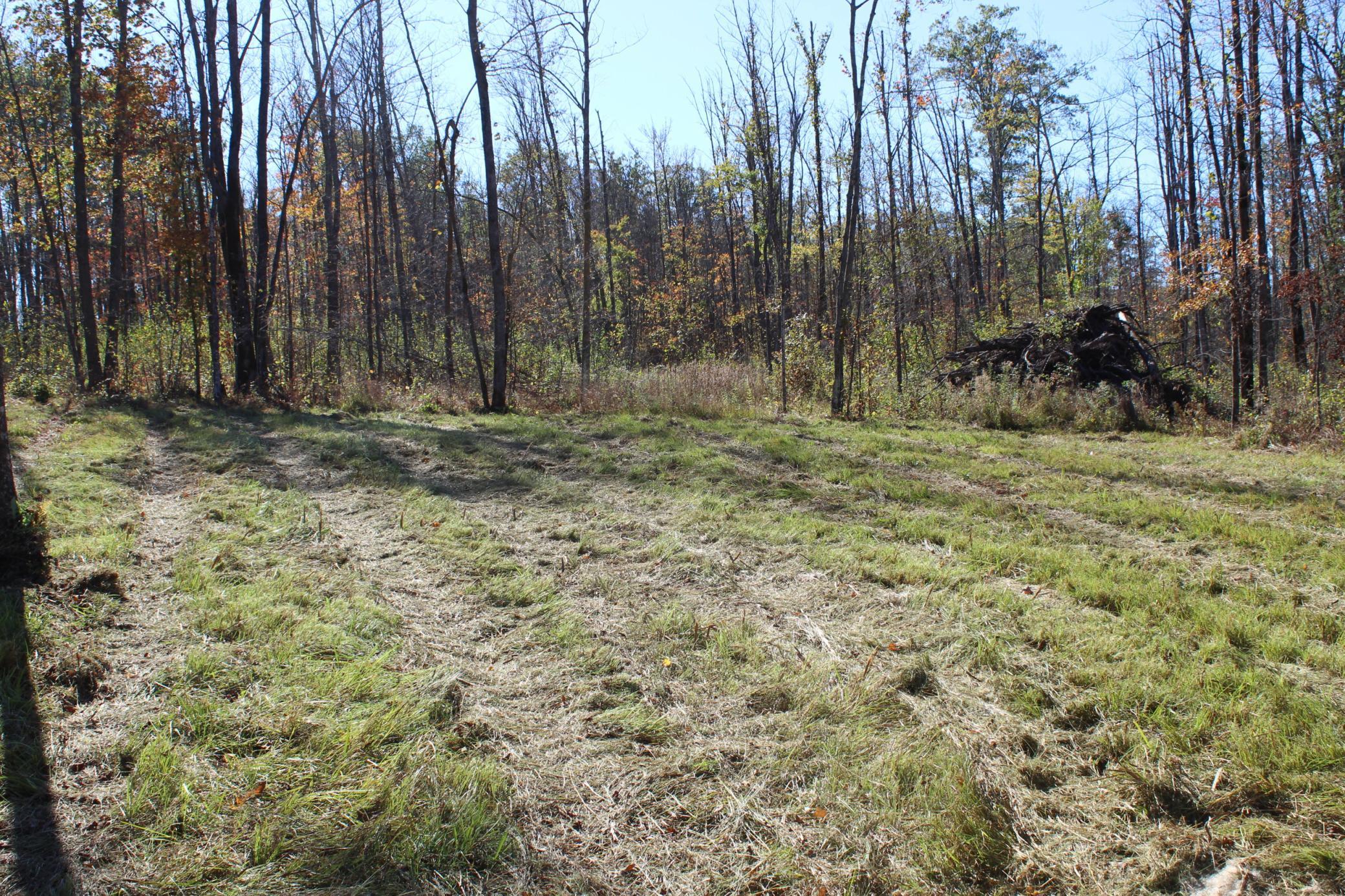Tbd Woods Road Isle, MN 56342 - Photo 17 of 32