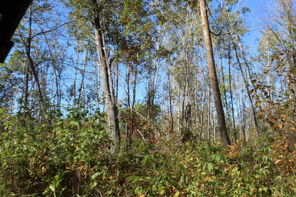 $759,500 | Tbd Woods Road, Isle, MN 56342