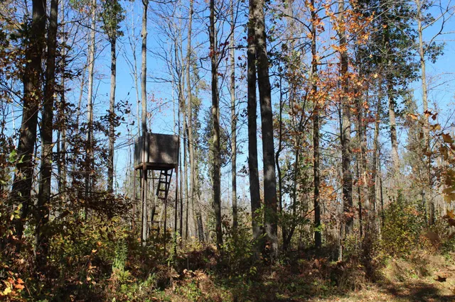 $759,500 | Tbd Woods Road, Isle, MN 56342