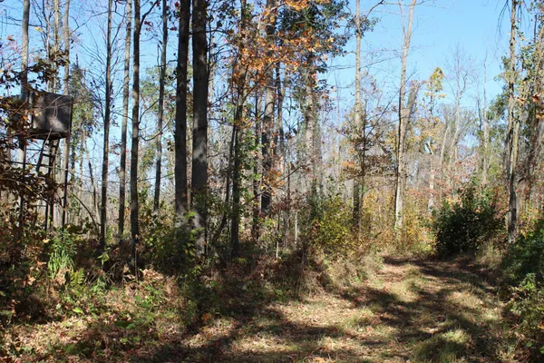 $759,500 | Tbd Woods Road, Isle, MN 56342