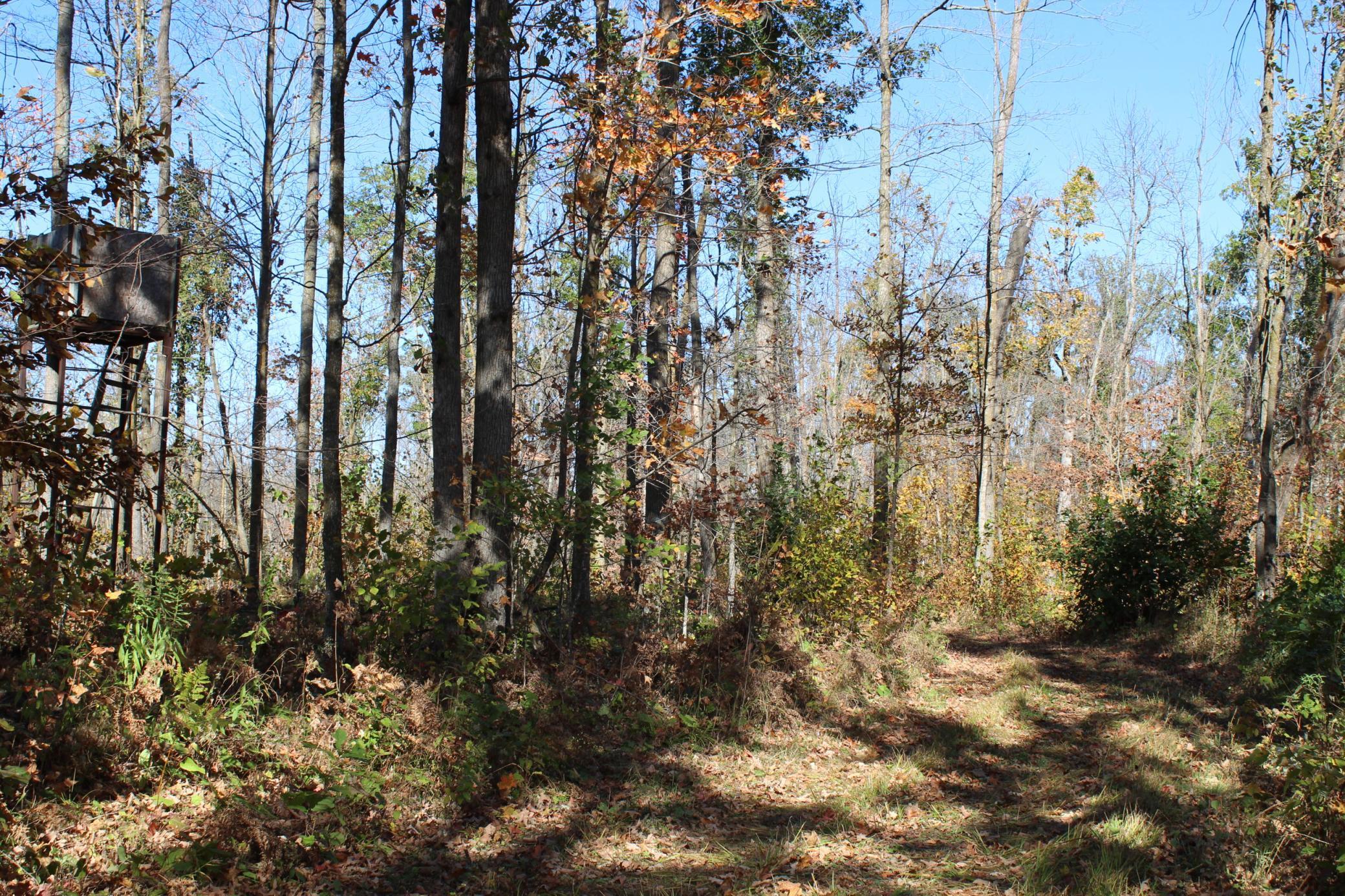 Tbd Woods Road Isle, MN 56342 - Photo 20 of 32