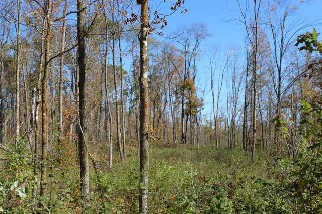 $759,500 | Tbd Woods Road, Isle, MN 56342