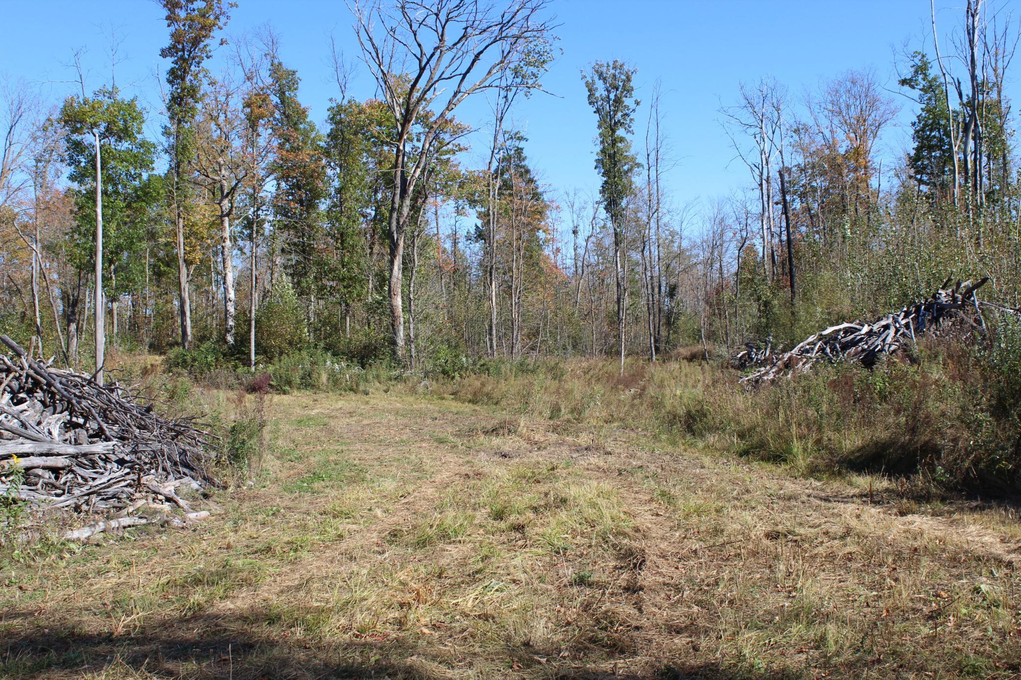 Tbd Woods Road Isle, MN 56342 - Photo 22 of 32
