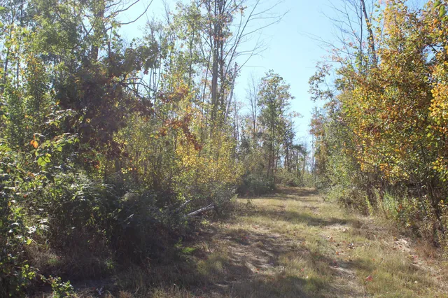 $759,500 | Tbd Woods Road, Isle, MN 56342