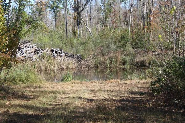 $759,500 | Tbd Woods Road, Isle, MN 56342