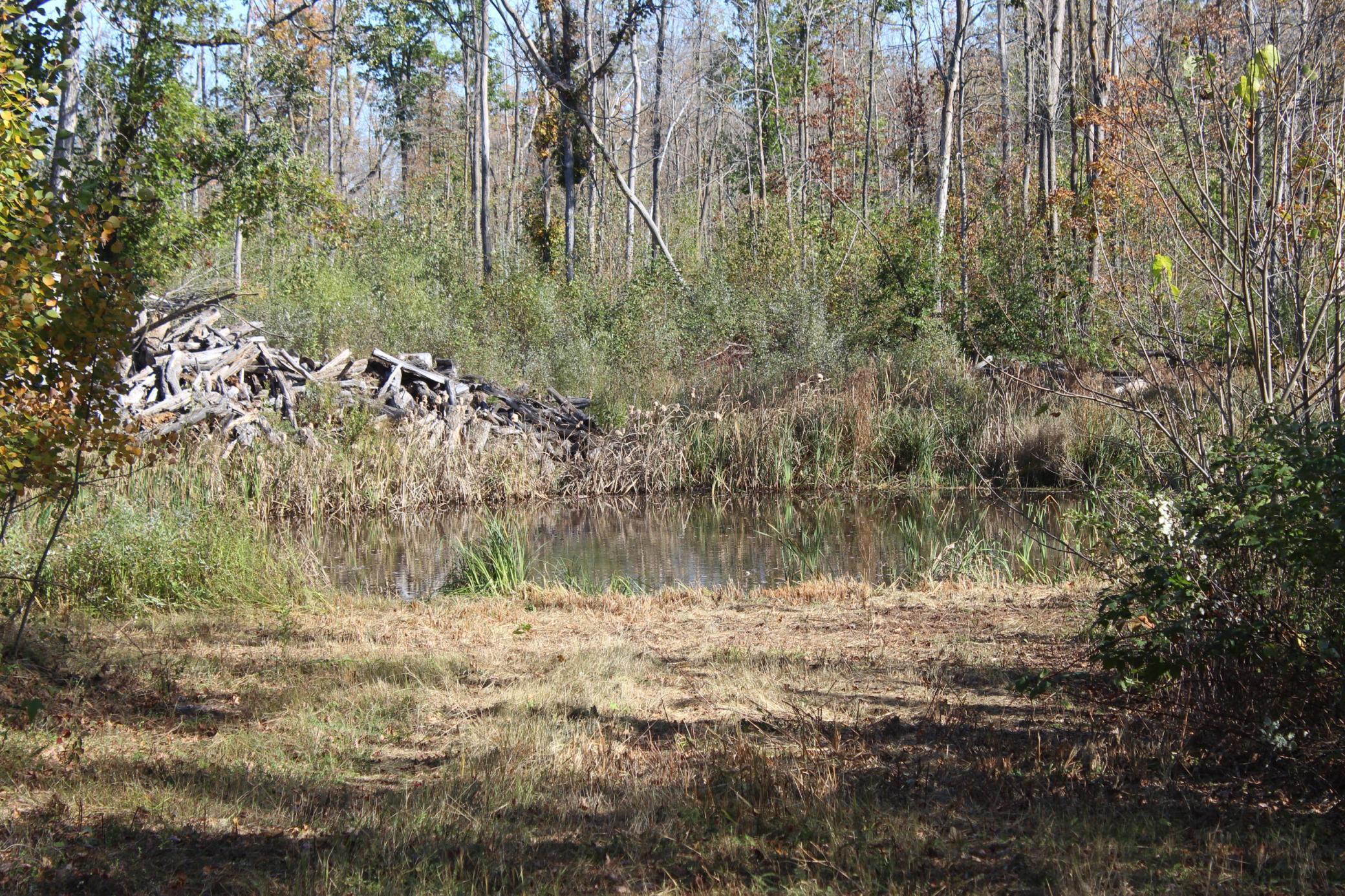 Tbd Woods Road Isle, MN 56342 - Photo 24 of 32
