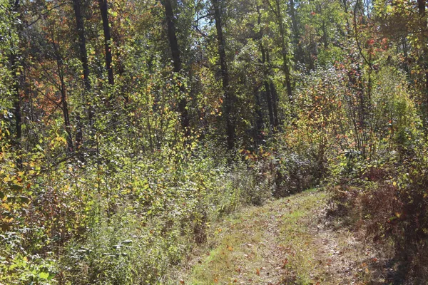 $759,500 | Tbd Woods Road, Isle, MN 56342