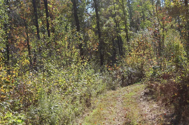 $759,500 | Tbd Woods Road, Isle, MN 56342