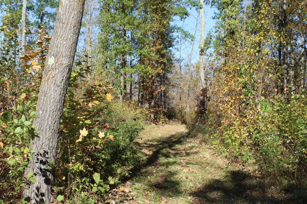 $759,500 | Tbd Woods Road, Isle, MN 56342