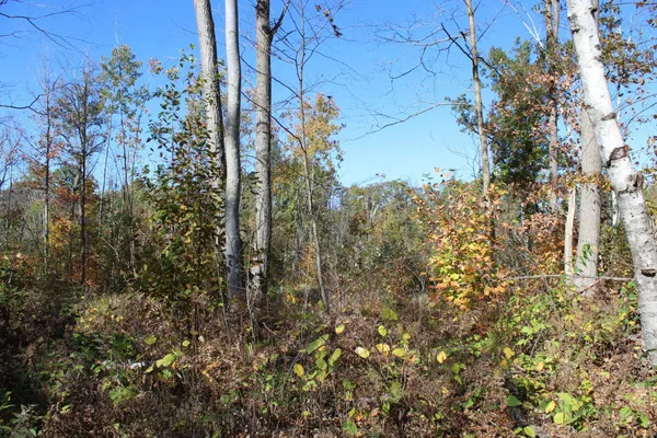 $759,500 | Tbd Woods Road, Isle, MN 56342