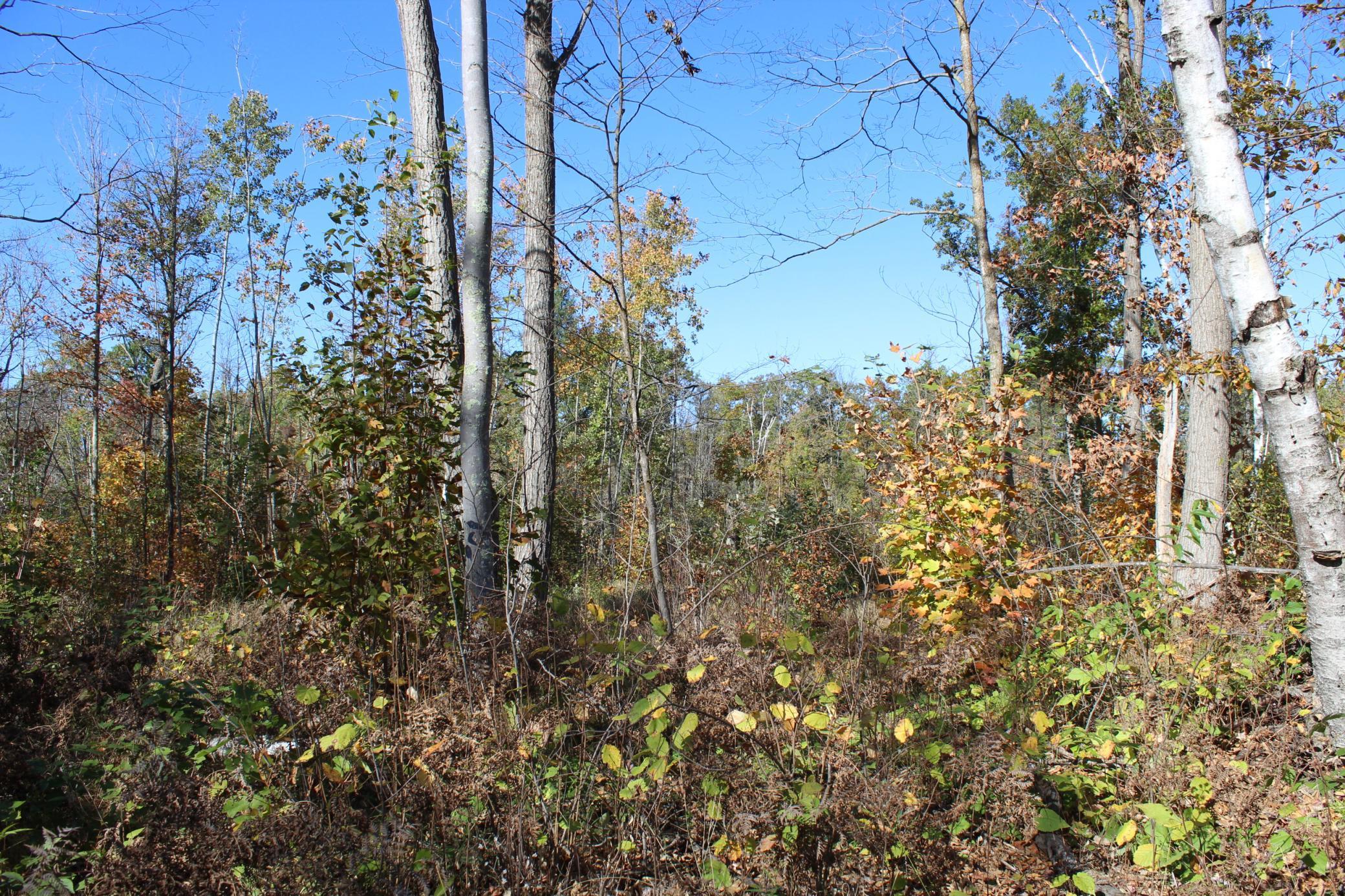 Tbd Woods Road Isle, MN 56342 - Photo 27 of 32