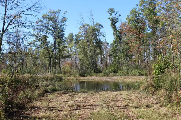 $759,500 | Tbd Woods Road, Isle, MN 56342