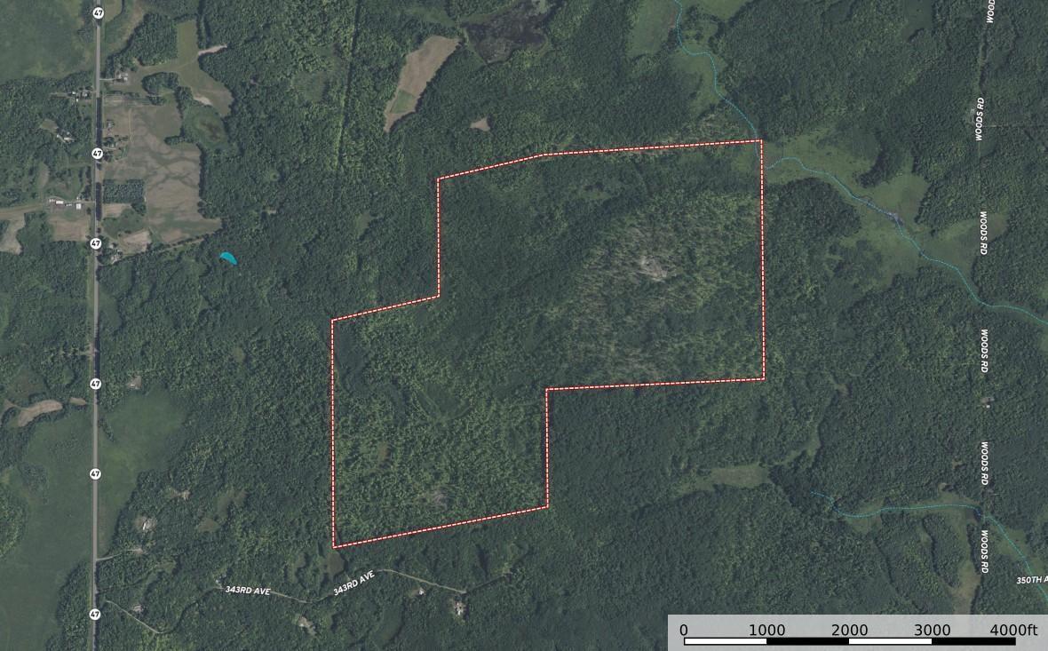 Tbd Woods Road Isle, MN 56342 - Photo 30 of 32