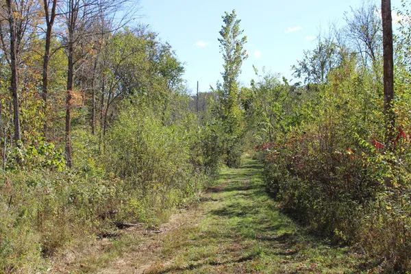 $759,500 | Tbd Woods Road, Isle, MN 56342