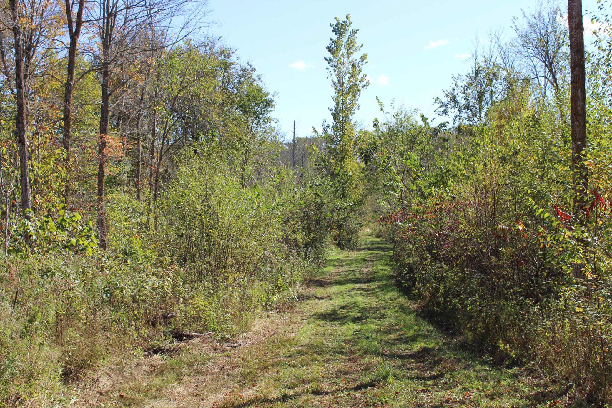 Tbd Woods Road Isle, MN 56342 - Photo 3 of 32