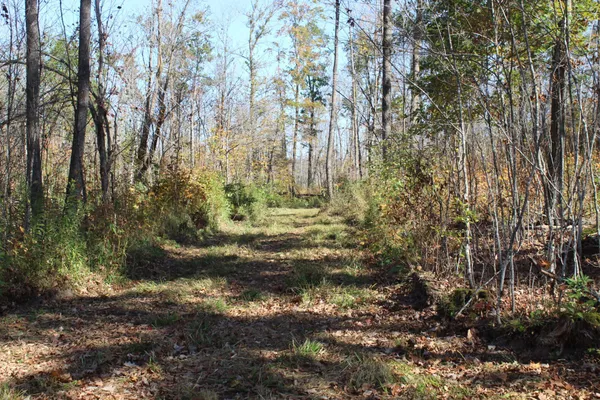 $759,500 | Tbd Woods Road, Isle, MN 56342